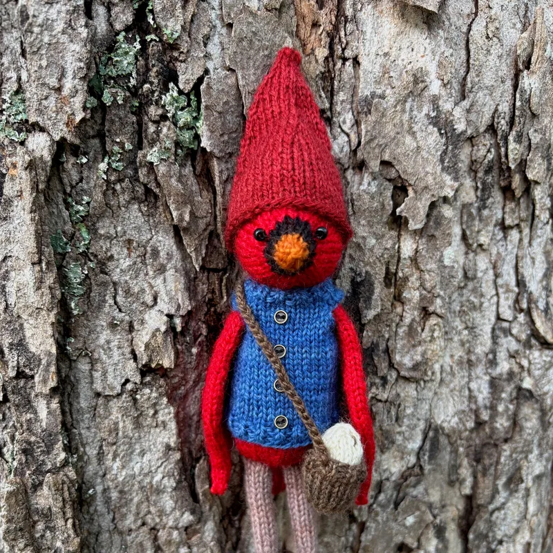 Cardinal Gnome Pattern