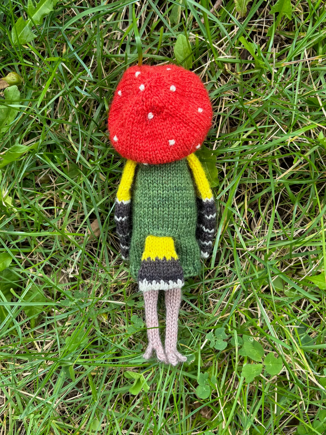 Goldfinch Amanita Pattern