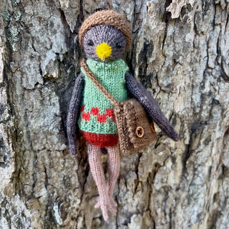 Robin with Rucksack Pattern